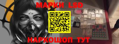 прущие грибы Будённовск