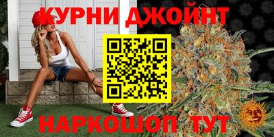прущие грибы Будённовск