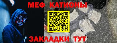 прущие грибы Будённовск