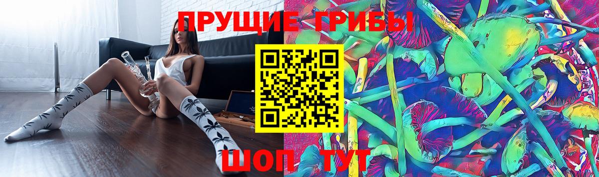 Полысаево  Псилоцибиновые грибы мицелий  Вход с VPN 