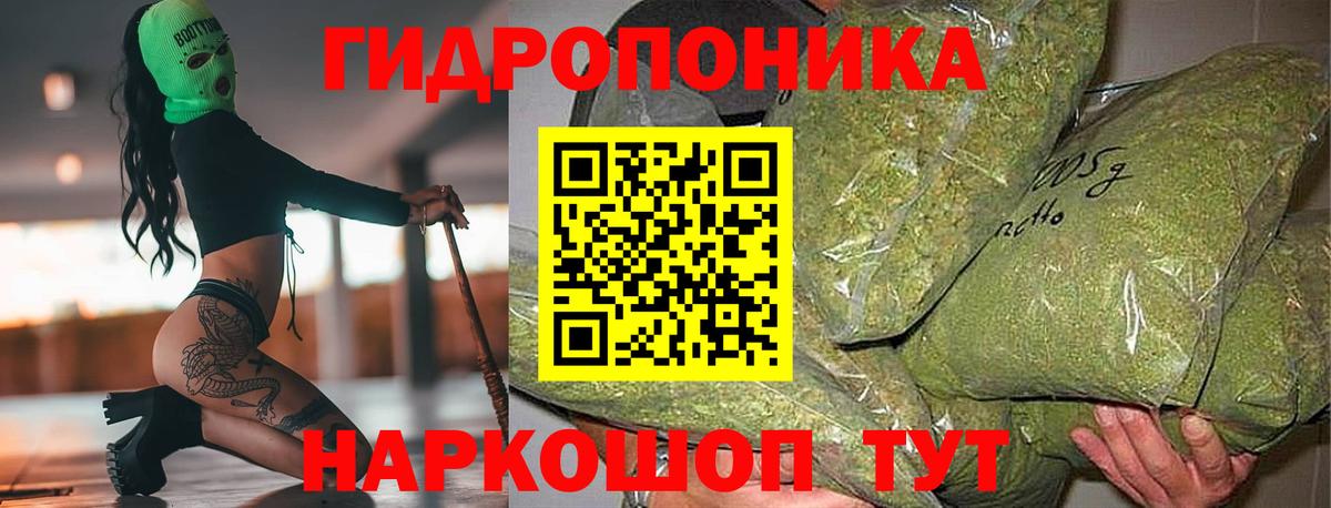 Шишки марихуана план Полысаево